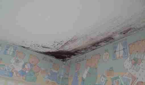 revetement contre humidité