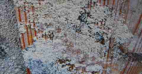 Humidité Saint Brice