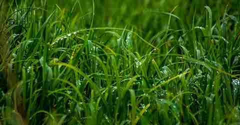 Infiltration eau auby