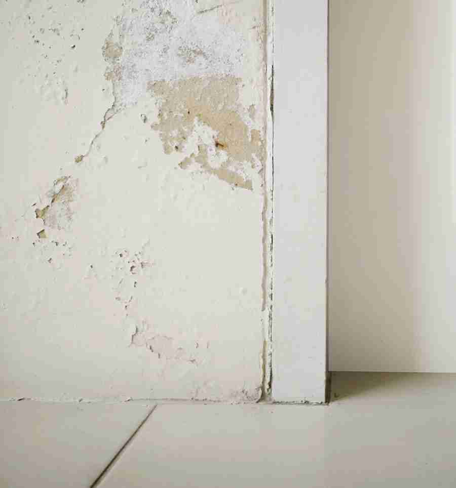 mauvais entretien moisissure